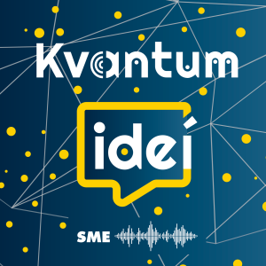 Kvantum ideí